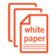 Whitepaper Audit